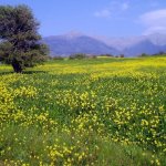 Samothraki